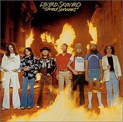 Release cover